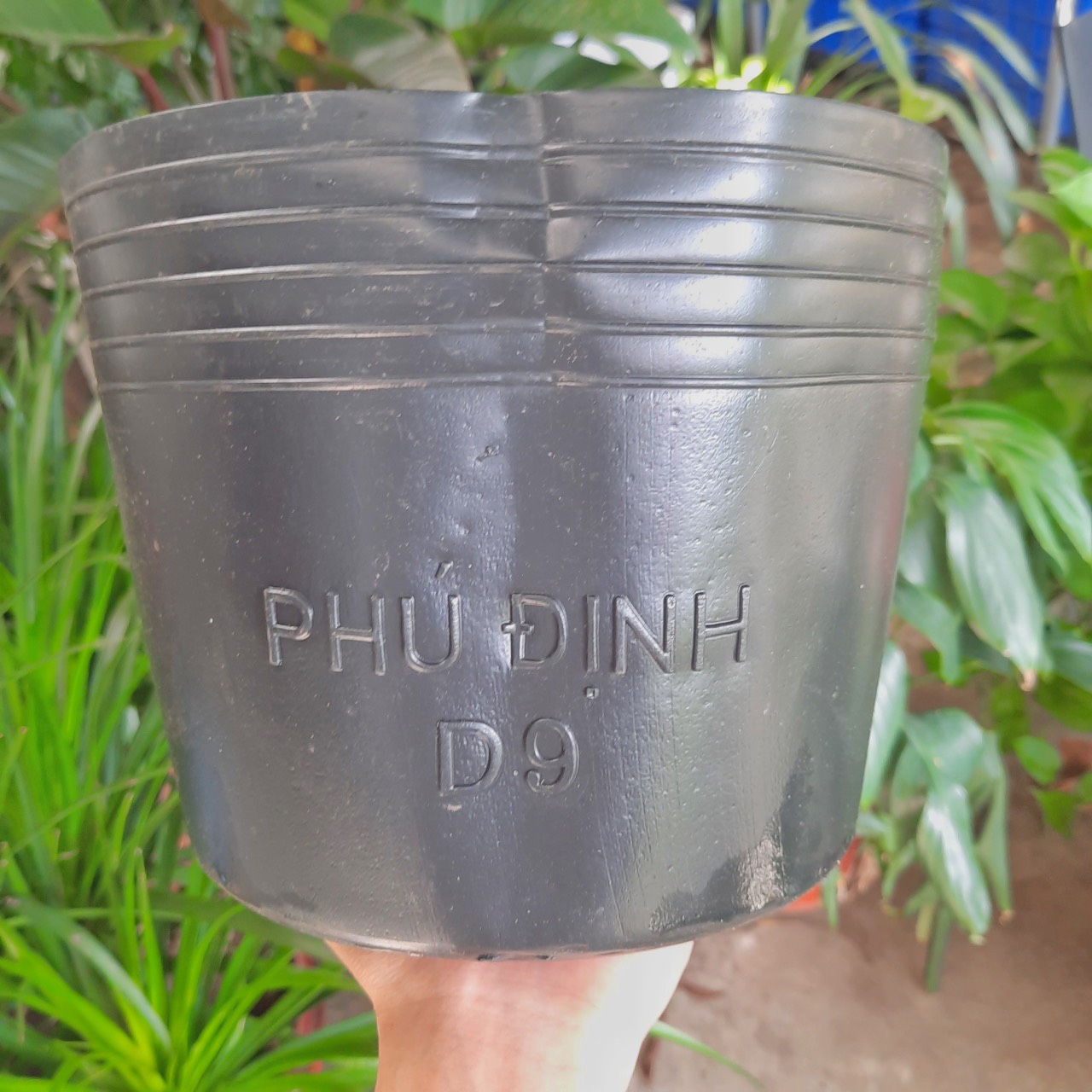 Combo 10 chiếc chậu nhựa dẻo đen/chậu tạm gieo trồng, ươm cây tiện dụng - 8 kích cỡ
