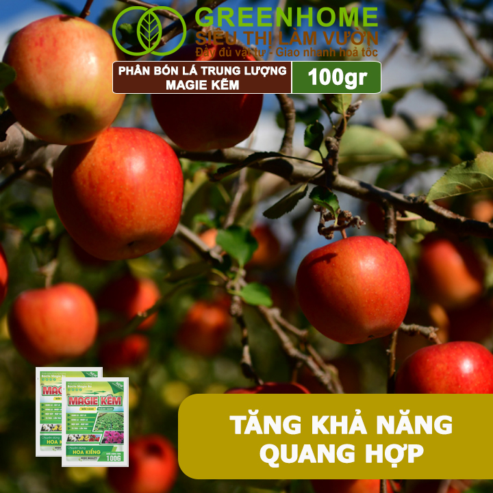 Phân Bón Lá Magie Kẽm, GreenHome, Gói 100GR, Chuyên Dùng Cho Hoa Kiểng