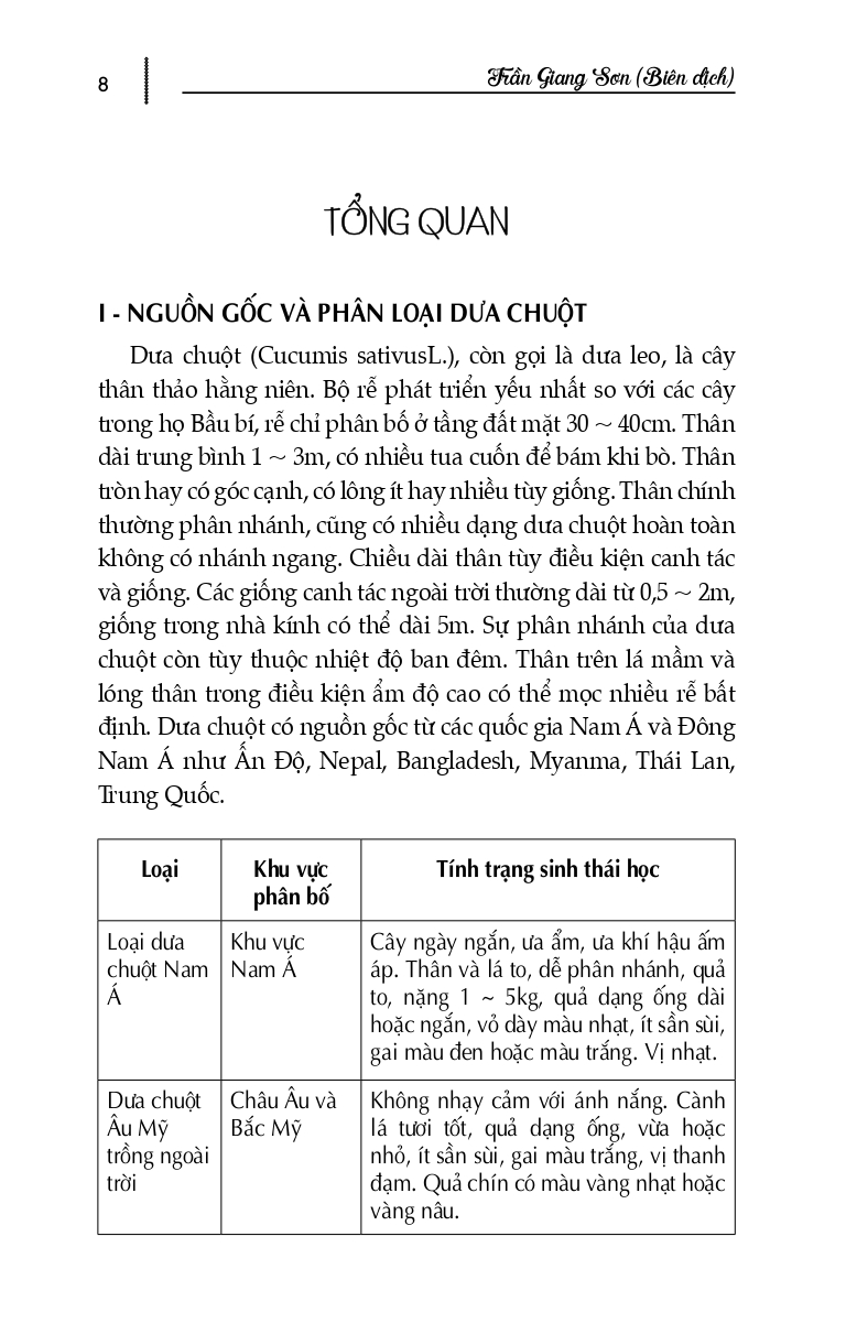 Kỹ Thuật Trồng Trọt Rau Củ Mang Lại Hiệu Quả Kinh Tế Cao