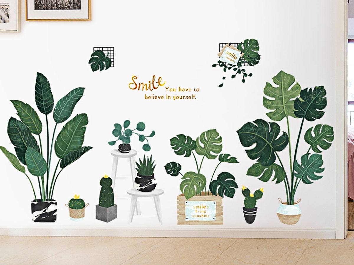 CHẬU CÂY XANH MỚI