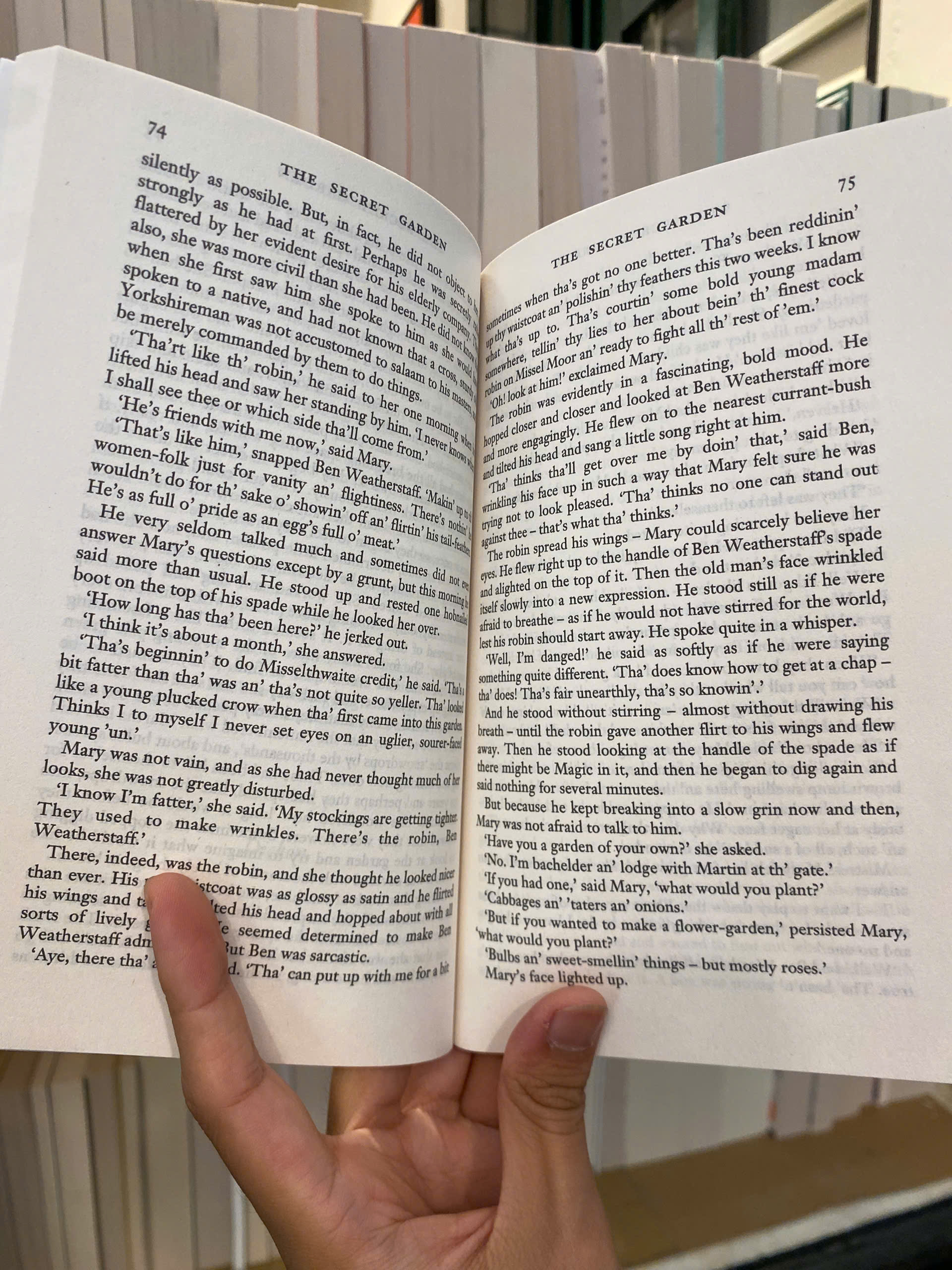 Sách - The Secret Garden by Frances Hodgson Burnett | Classic Literature / Ngoại văn Nhập khẩu