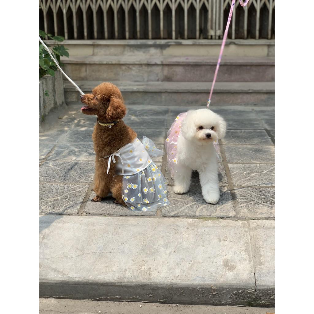 Váy hè thiết kế dành riêng cho thú cưng dưới 8kg