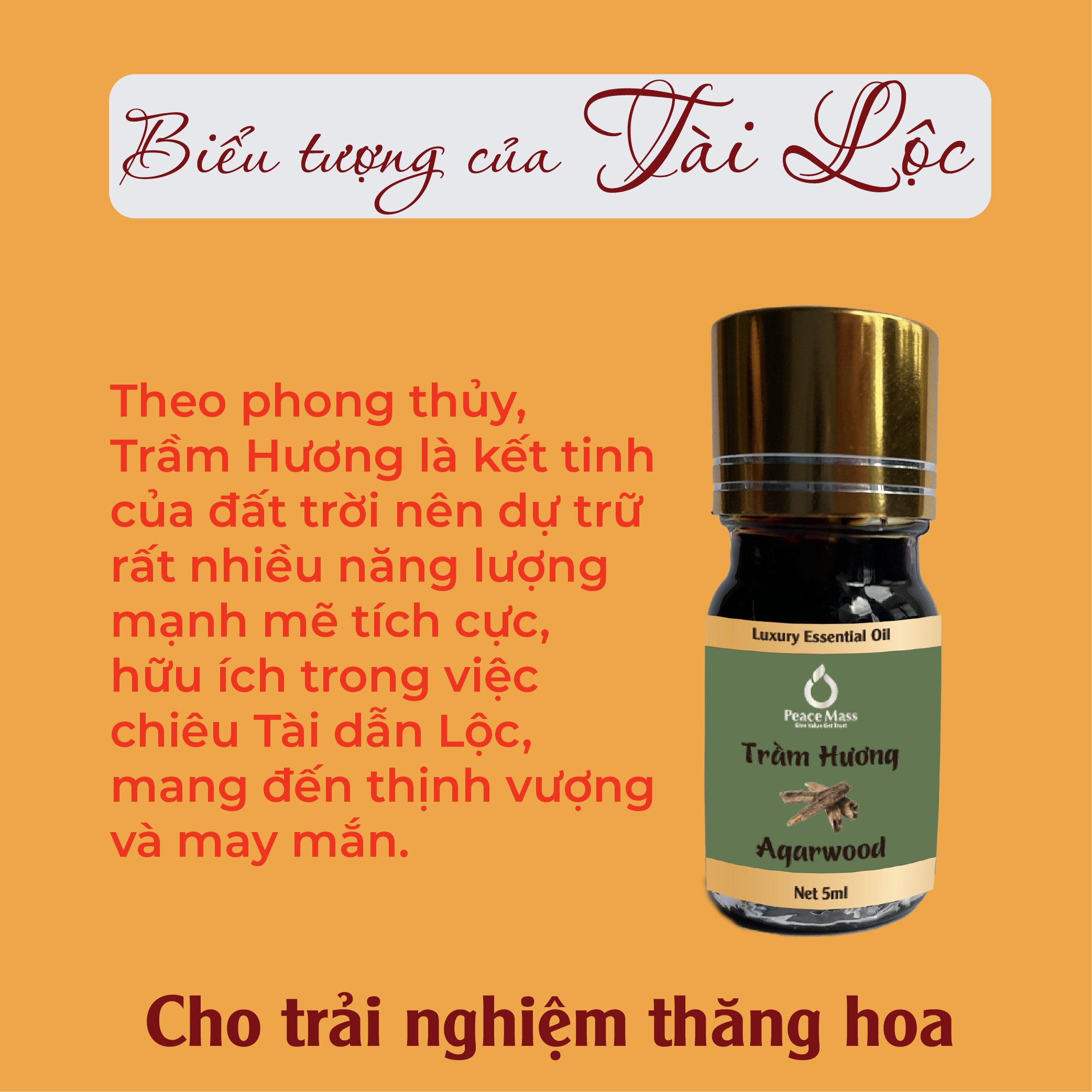 TD5ml-KX10 Combo Tinh Dầu Trầm Hương Peace Mass 5ml - Bộ Kẹp Xe Ô tô - Agarwood