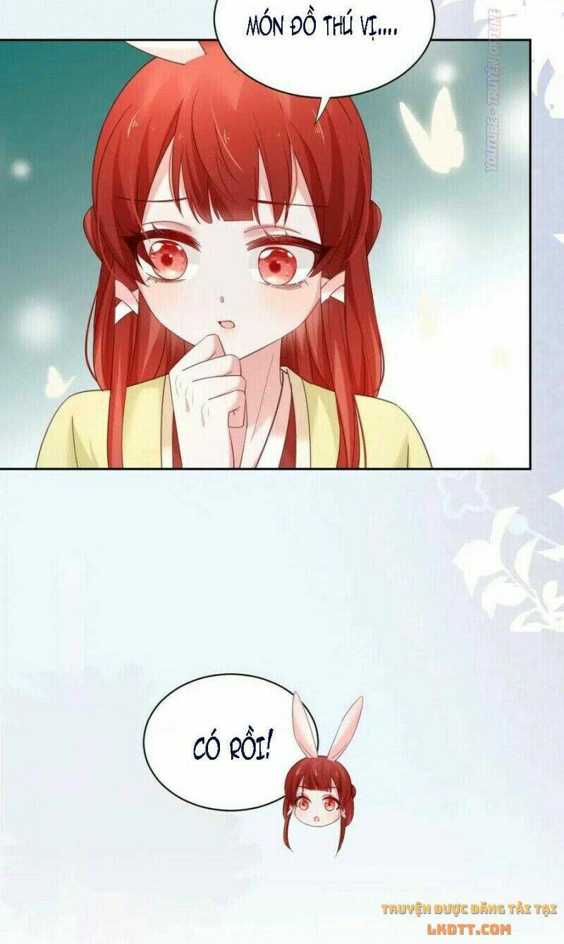 hắc hóa nam chính trực tuyến nuôi thỏ chapter 53 29