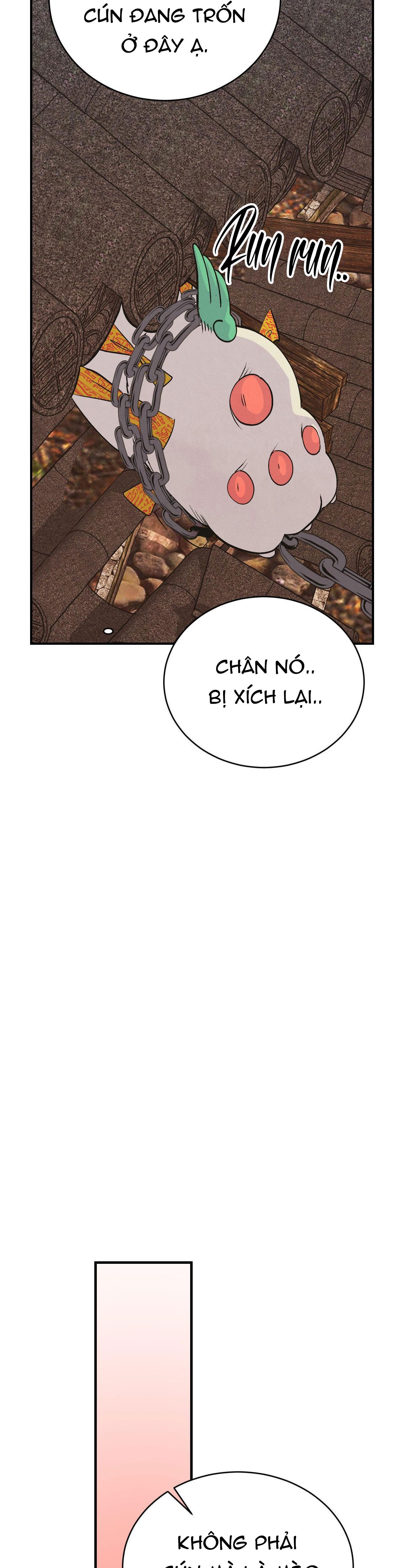 cậu bé đào chapter 10 13