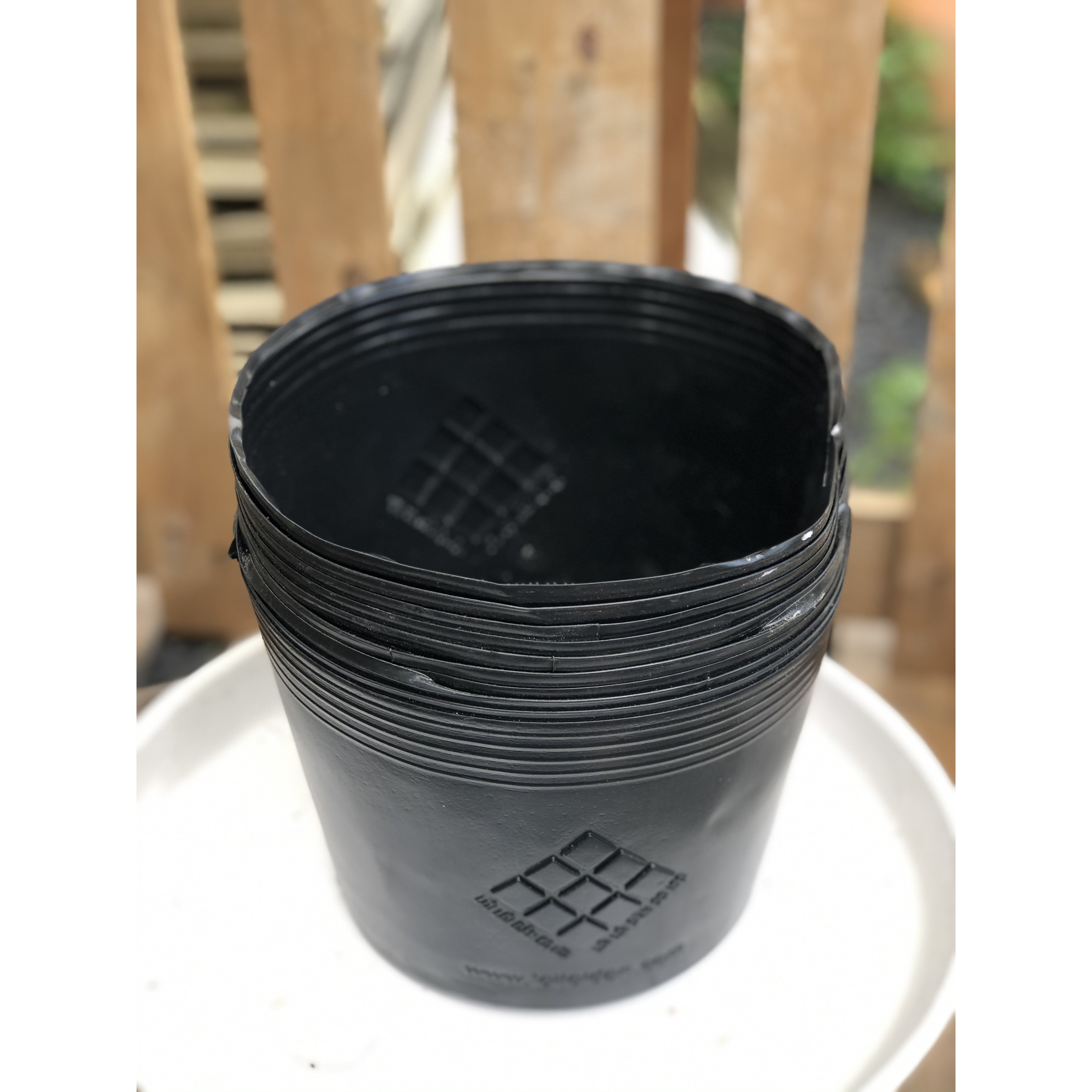 Bộ 10 chậu nhựa trồng cây lâu năm DS1 kích thước fi 200 x 130 mm