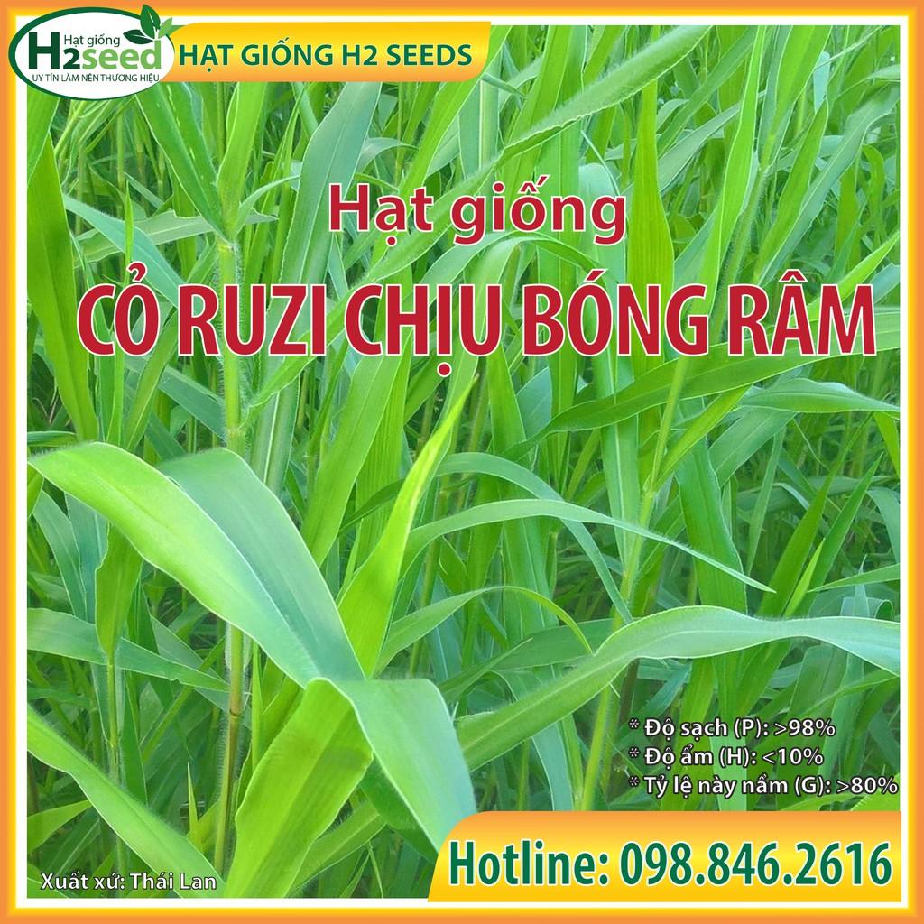 Hạt Giống Cỏ Ruzi - Gói 50g - Cỏ Có Sức Chống Chịu Tốt, Giàu Dinh Dưỡng Cho Chăn Nuôi Bò, Dê, Cừu, Thỏ, Cá...