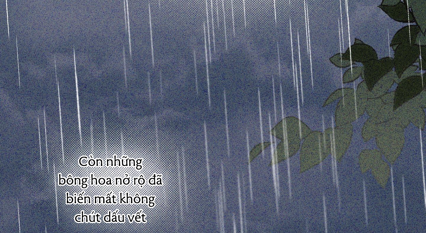 định rõ mối quan hệ chapter 50 274