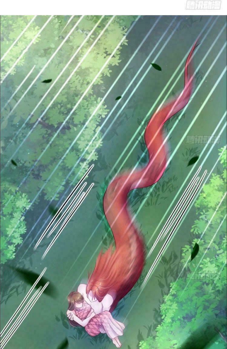 [16+] thảnh thơi thú thế chủng chủng điền, sinh sinh tể chapter 30 24