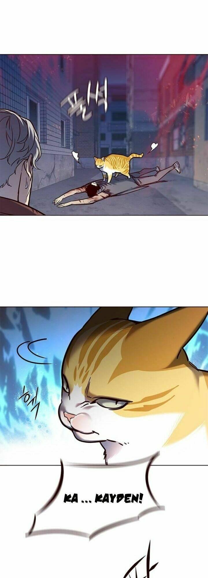 biến thân thành mèo chapter 112 63