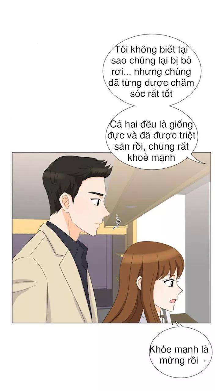 idol và sếp, em yêu ai? chapter 22 6