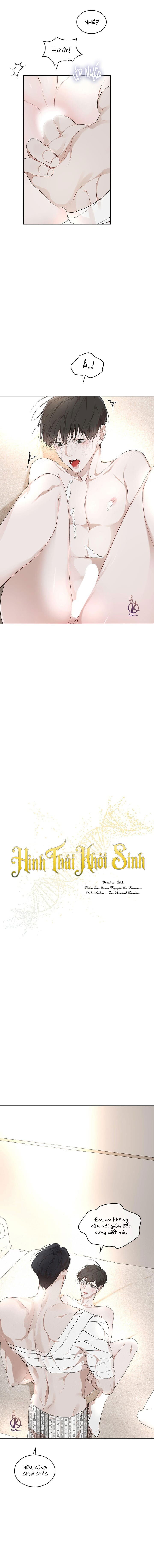 hình thái khởi sinh chapter 66 2