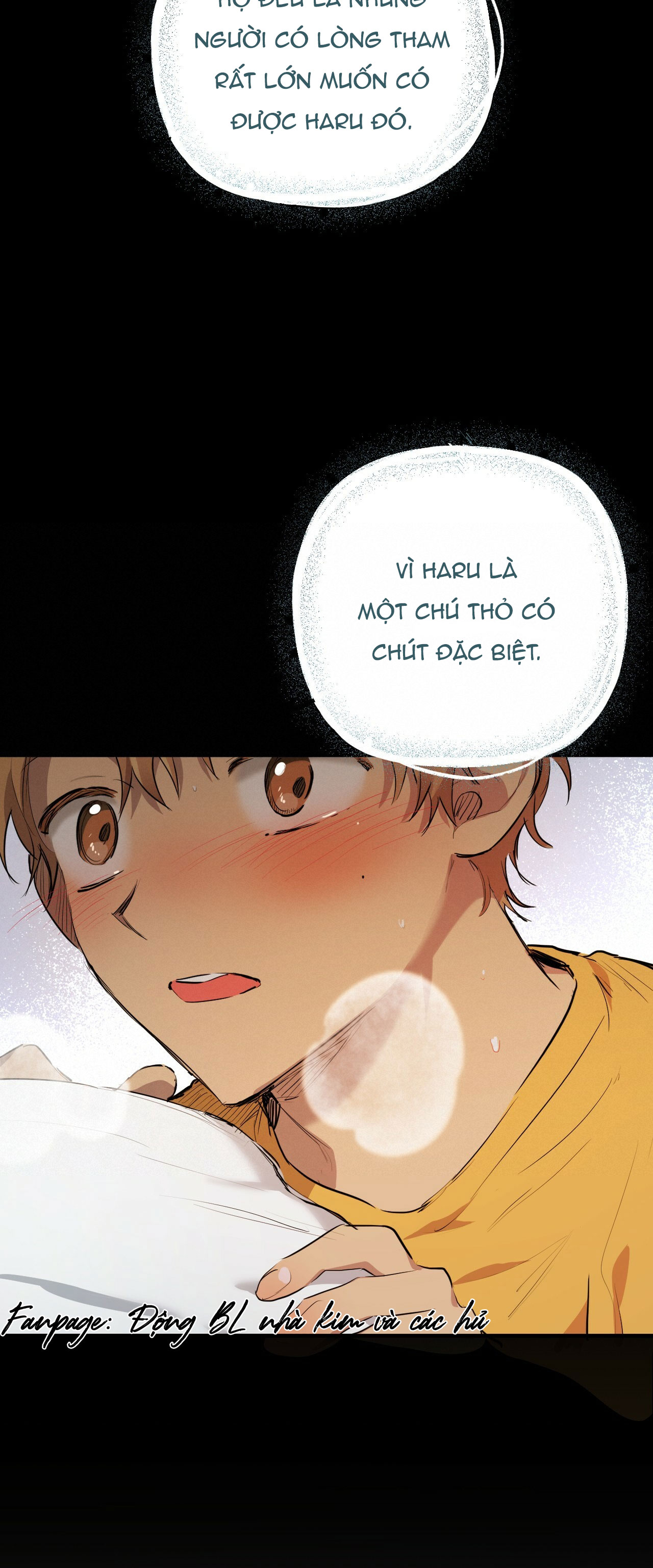 những chú thỏ của hapypy chapter 27 24