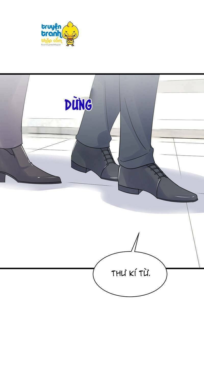 chọc tới chủ tịch tổng tài 2 chapter 44 38