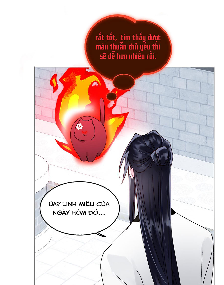 tôi phải làm một kẻ đại xấu xa chapter 116 29