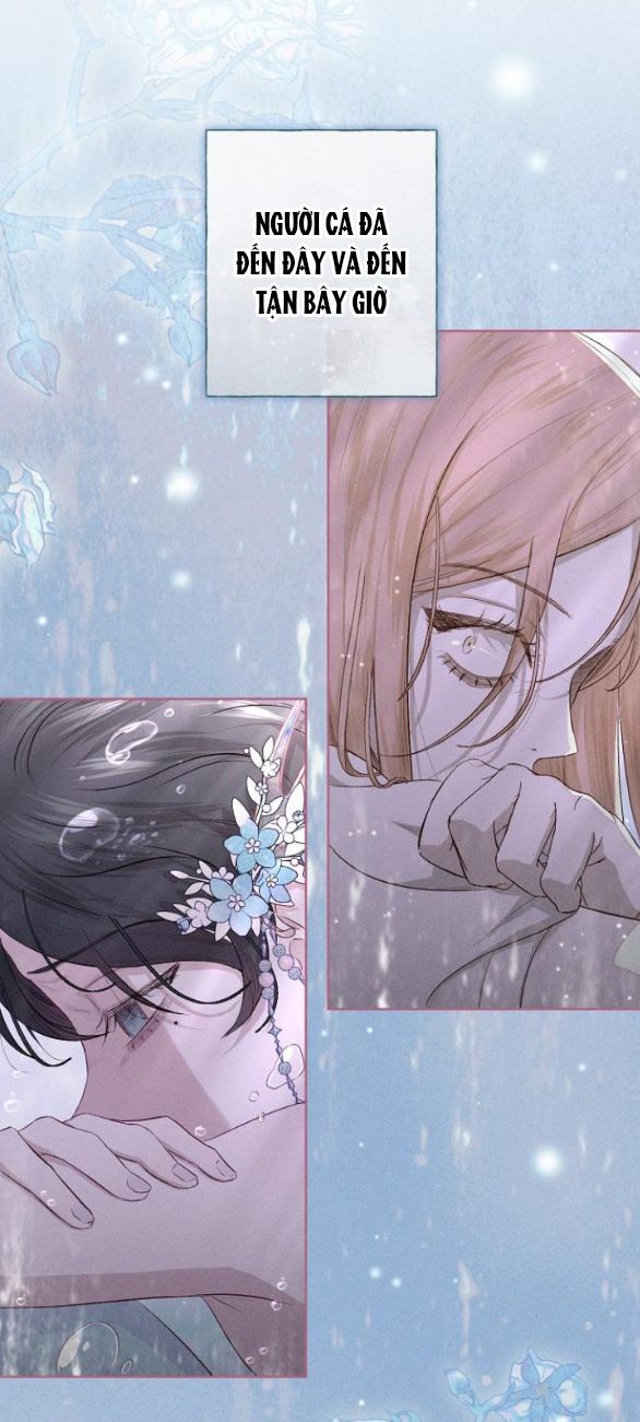 chàng tiên cá mắc kẹt trong hồ của tôi chapter 2.2 13