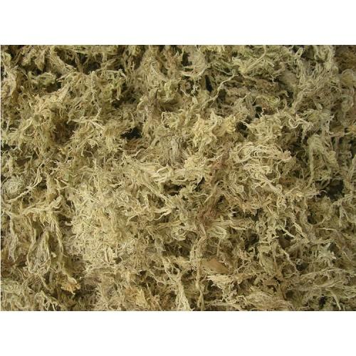 Giá thể rêu khô - Dớn Trắng Chile 100Gr giữ ẩm cho tháp cây đứng terraplanter - REUCHILE