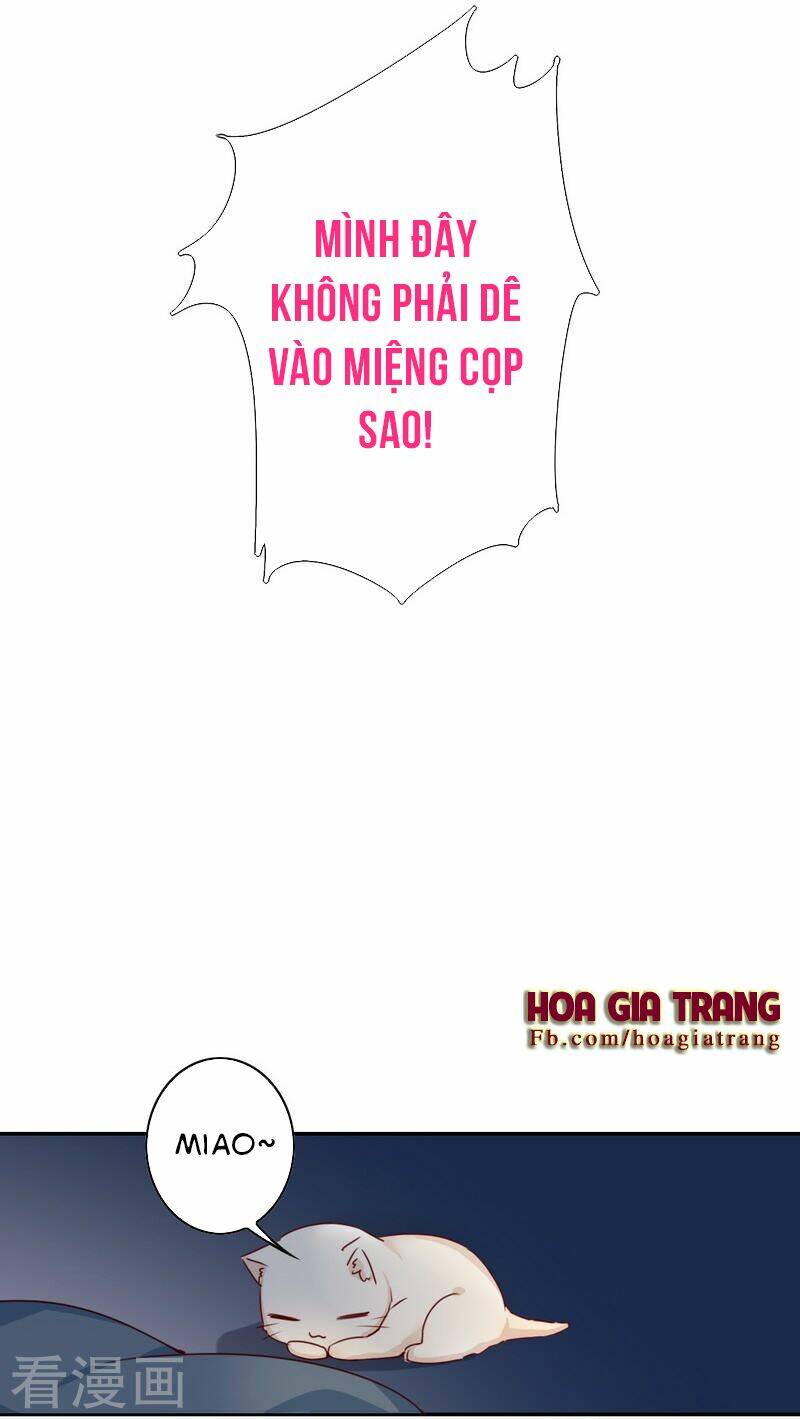 phục thù thiếu gia tiểu điềm thê chapter 20 12