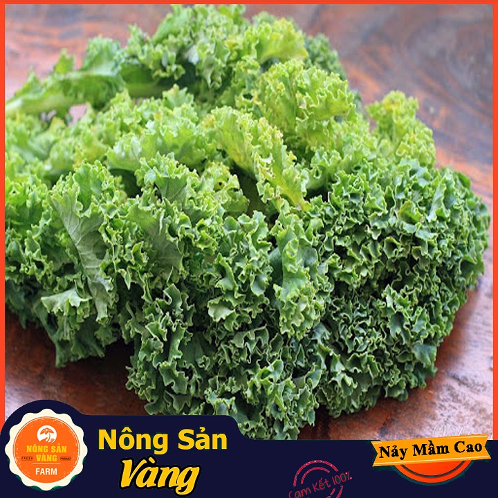 Hạt giống Cải Xoăn Kale ( Gói 5 Gram ) - Nông Sản Vàng