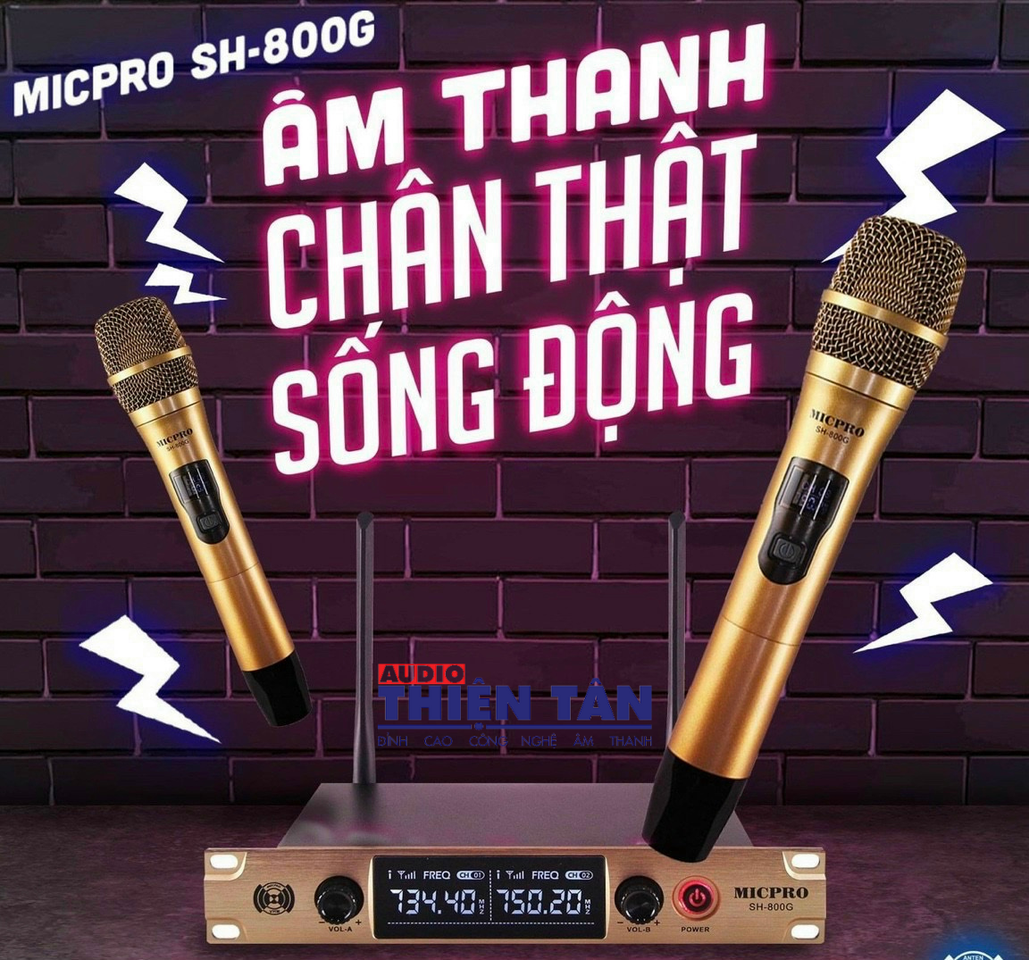 Micro Không Dây SH800G - Karaoke Gia Đình - Sóng UHF - Âm thanh chuẩn - Hàng Chính Hãng