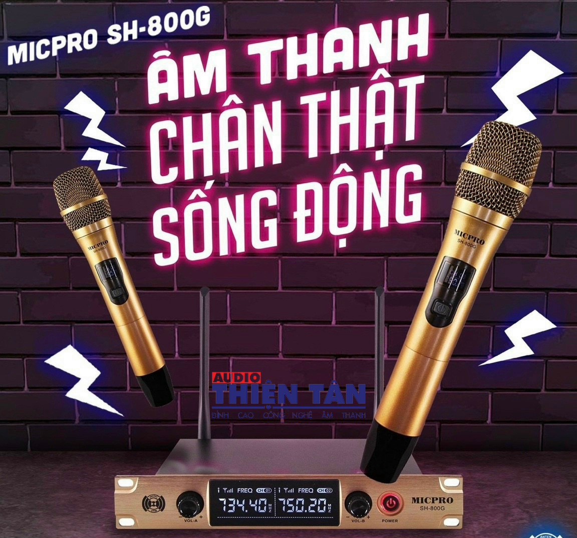 Micro Không Dây SH800G - Karaoke Gia Đình  - Sóng UHF - Âm thanh chuẩn - Hàng Chính Hãng