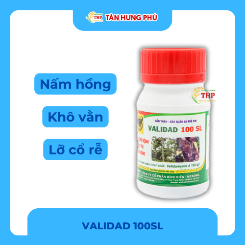 Thuốc Trừ bệnh Validad 100SL 100ml