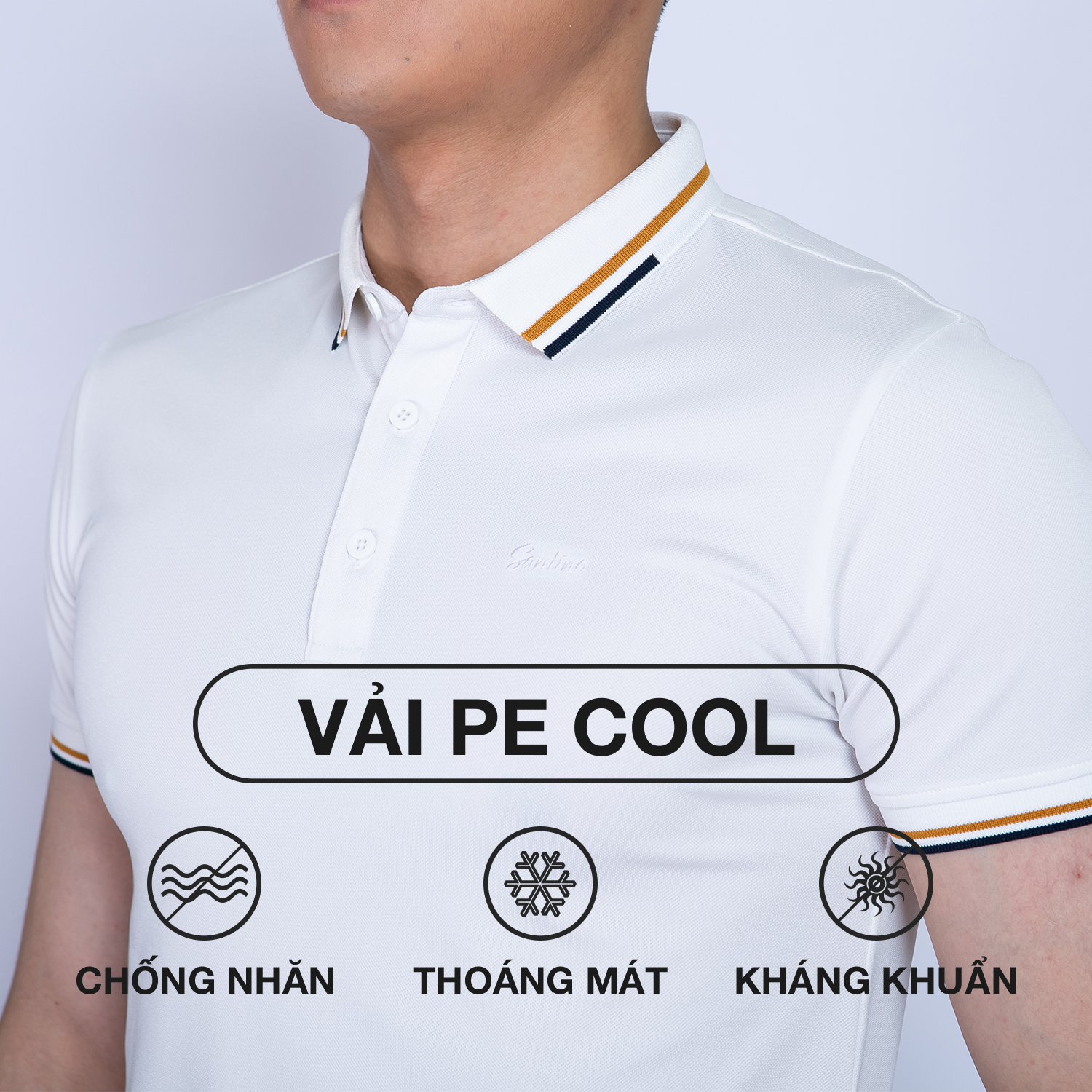 Áo POLO nam phối bo cổ vàng vải Cotton Cá Sấu, form chuẩn, sang trọng lịch sự SANTINO