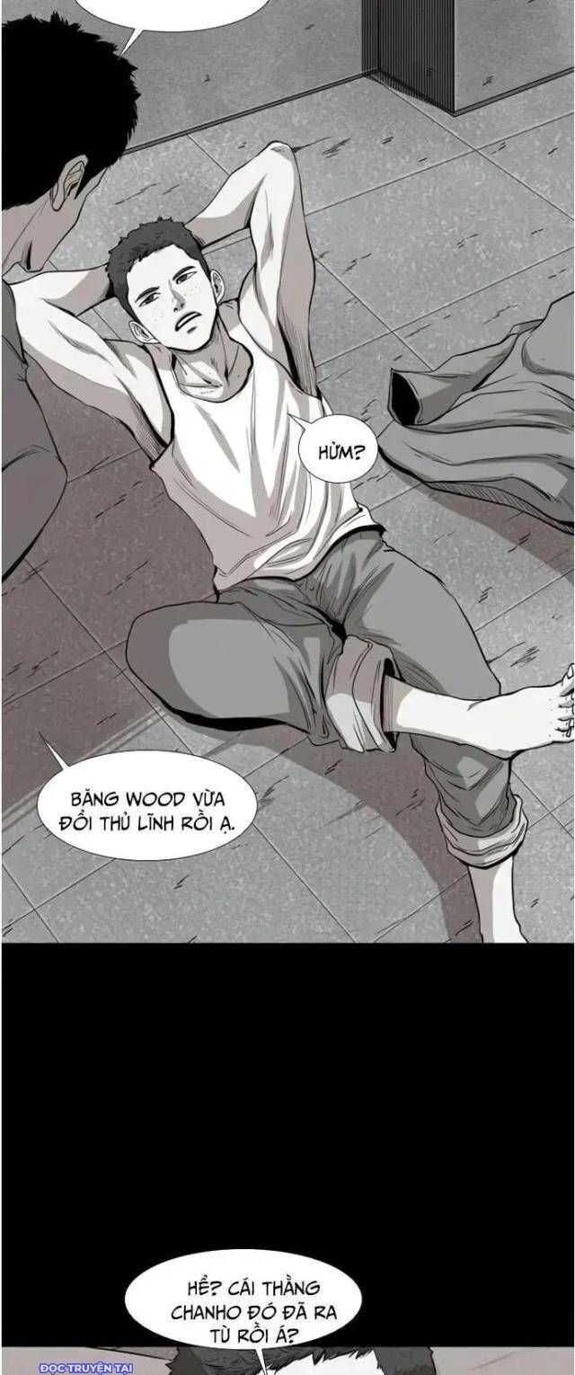 shark - cá mập chapter 109 24