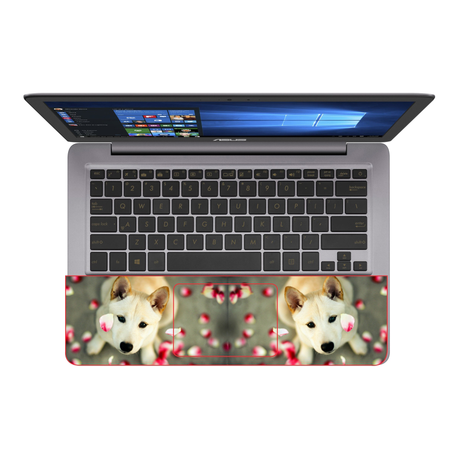 Mẫu Skin Dán Trang Trí Decal Laptop Animal DCLTDV 002