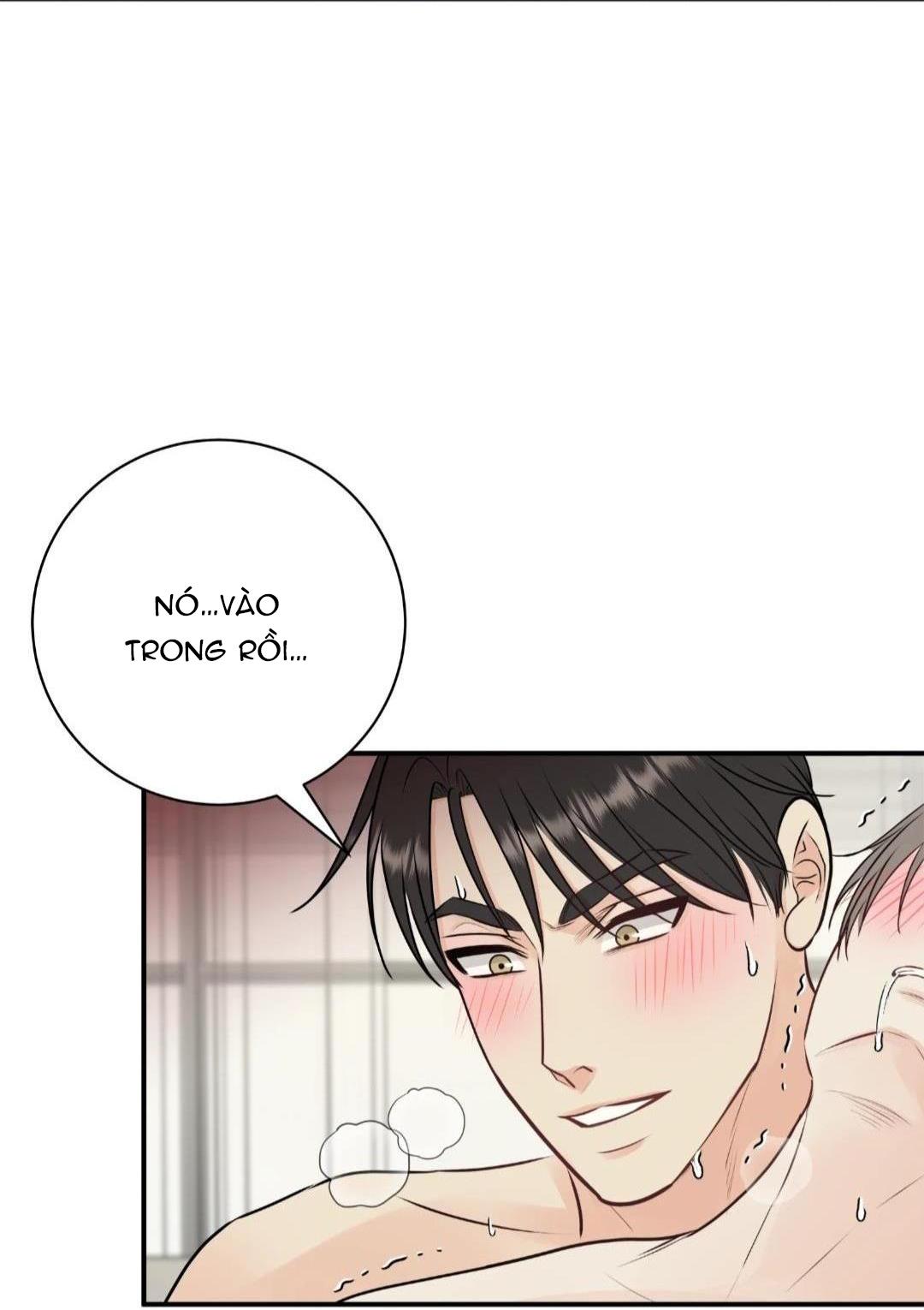 hạnh phúc trọn vẹn chapter 22 68