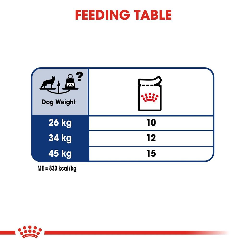 [140g] Pate Cho Chó Lớn Royal Canin Maxi Adult Gói