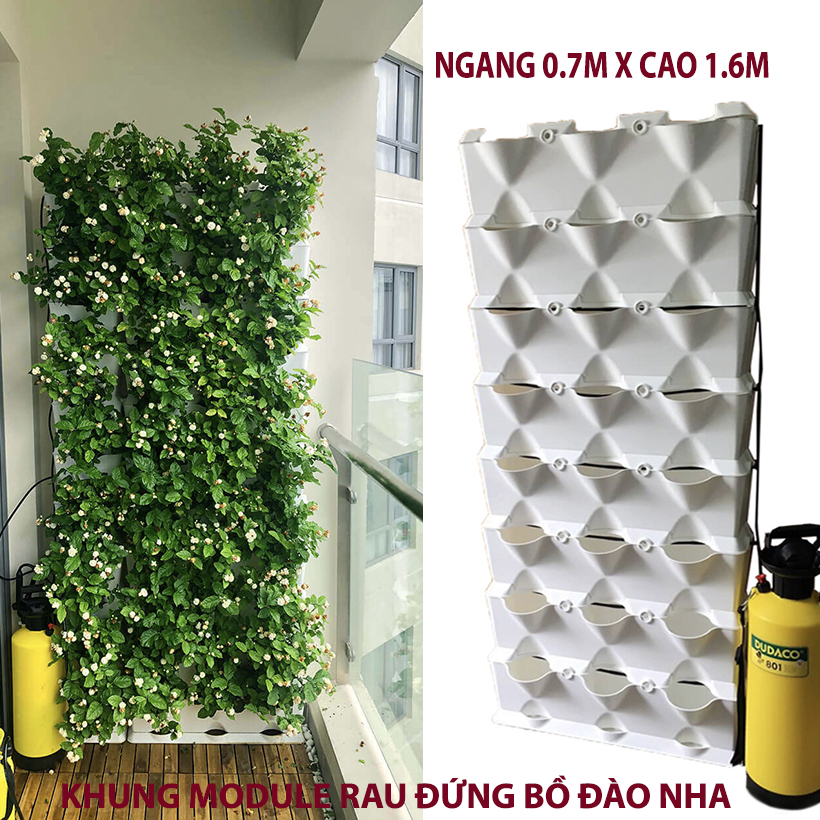 Khung Vườn Đứng Cây Ban Công dùng trồng cây xanh treo tường dạng đứng