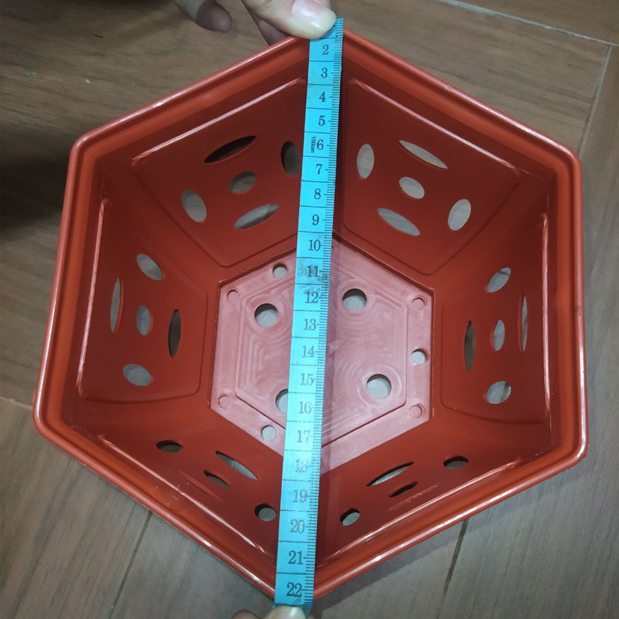60 Chậu nhựa Đồng Tiền trồng lan cao cấp siêu bền đường kính 22x12.5x14cm- 77593