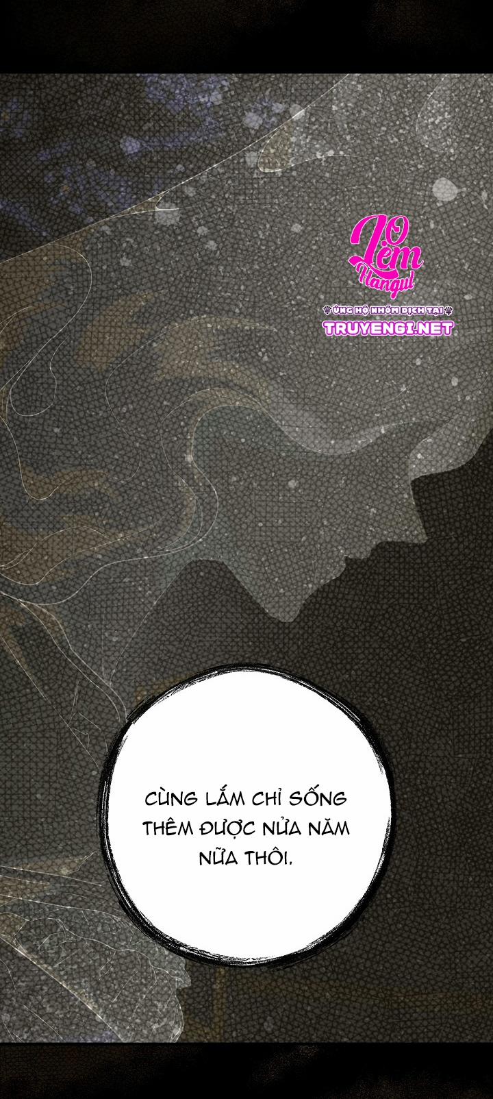 tiểu thư bí ẩn chapter 2 31