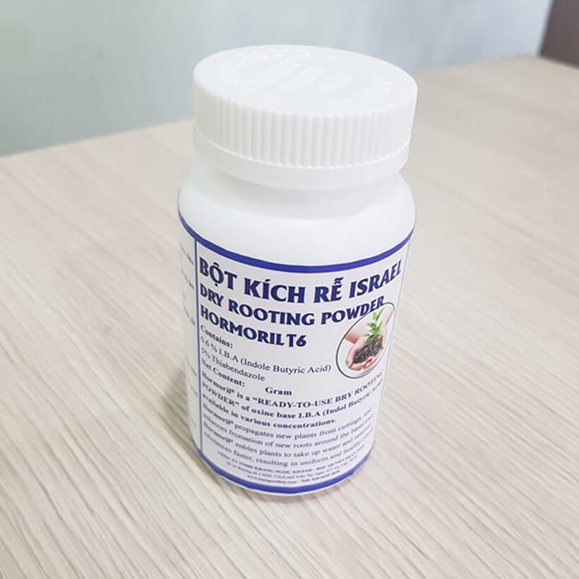 Tự Giâm Chiết Hoa Hồng tại nhà bằng Bột Kích rễ có trị nấm bệnh nhập khẩu Israel dành cho cây thân gỗ hiệu quả và sát khuẩn vết cắt