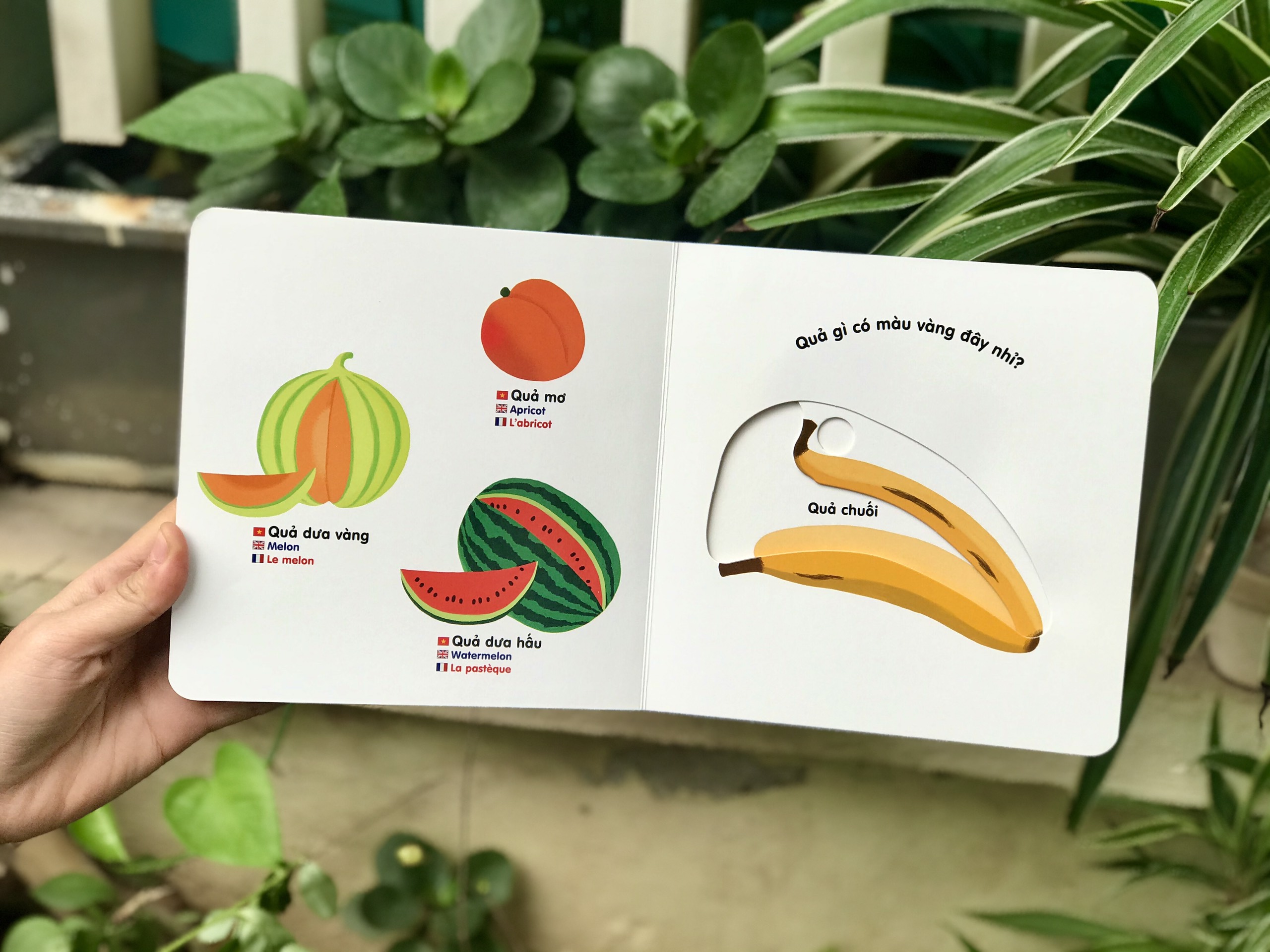 Sách tương tác chuyển động thông minh đa ngữ Việt - Anh - Pháp - Đinh Tị - Mộc Nhiên