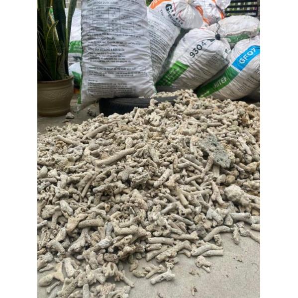 SAN HÔ LỌC NƯỚC HỒ CÁ TĂNG PH