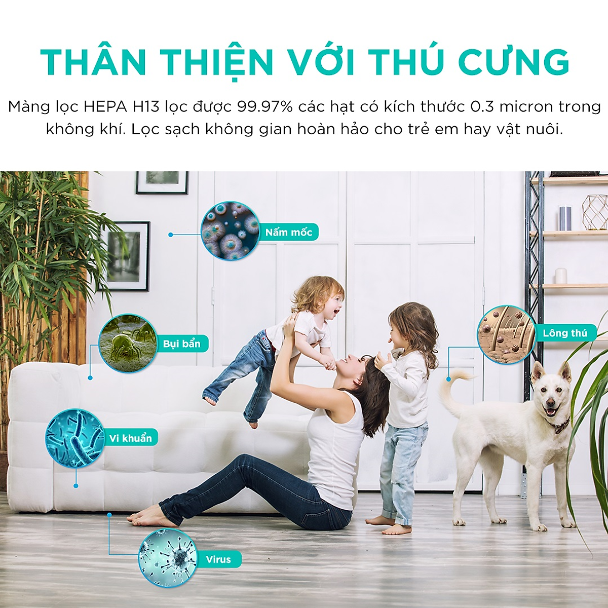 Máy Lọc Không Khí Levoit Core P350 40m2 Bộ lọc HEPA 13 Lọc Bụi Mịn | Hàng Chính Hãng