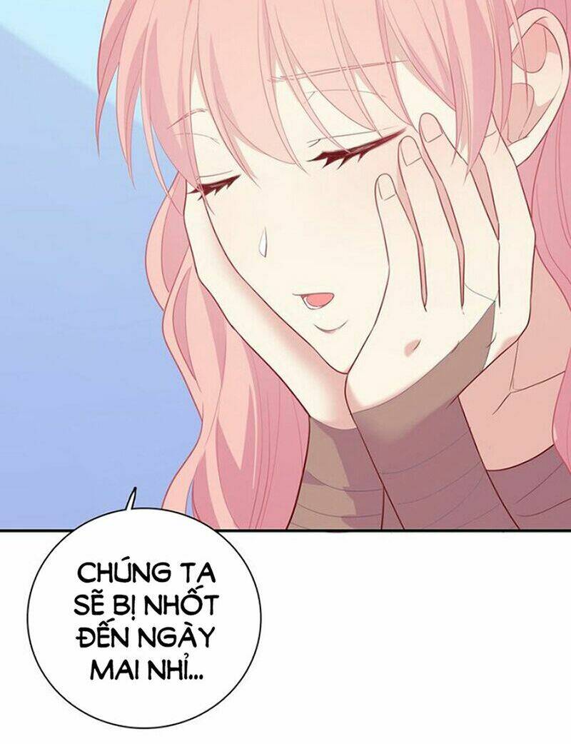 vương tử thành phố và công chúa amazon chapter 52 6