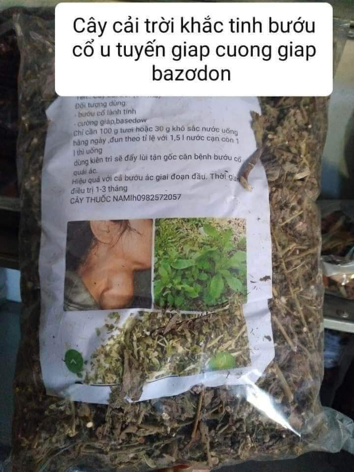 Cây cải trời sấy khô gói 1kg
