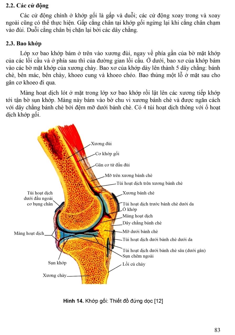 Sách - Giải phẫu người