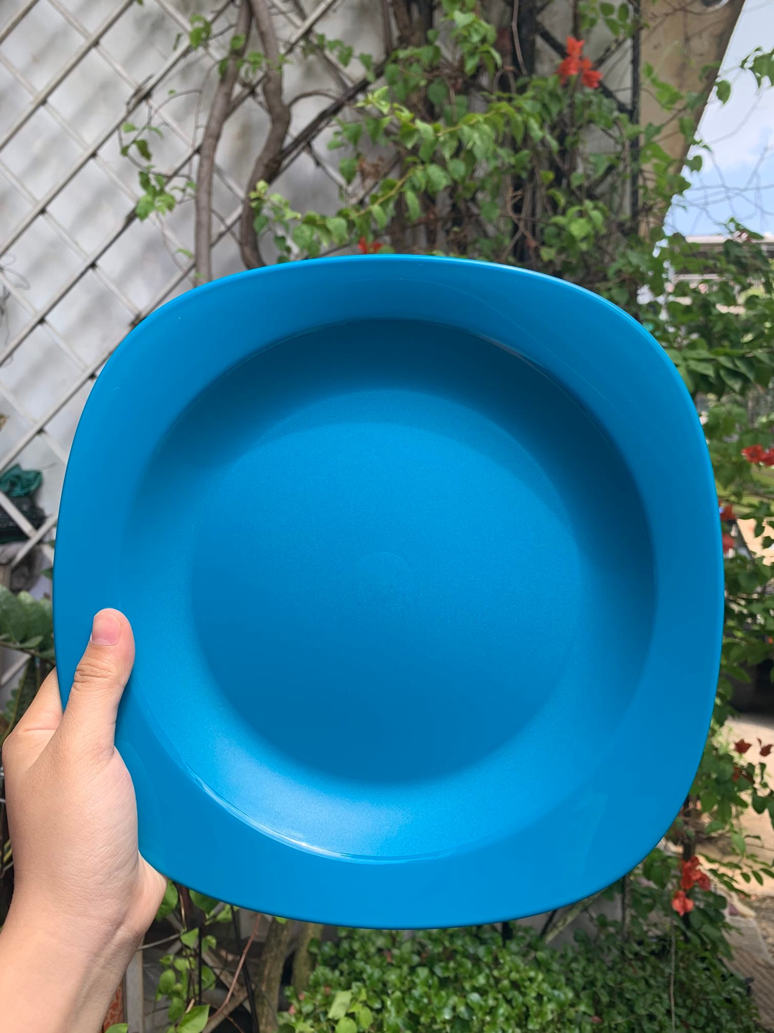 Dĩa Tupperware Blossom Plate