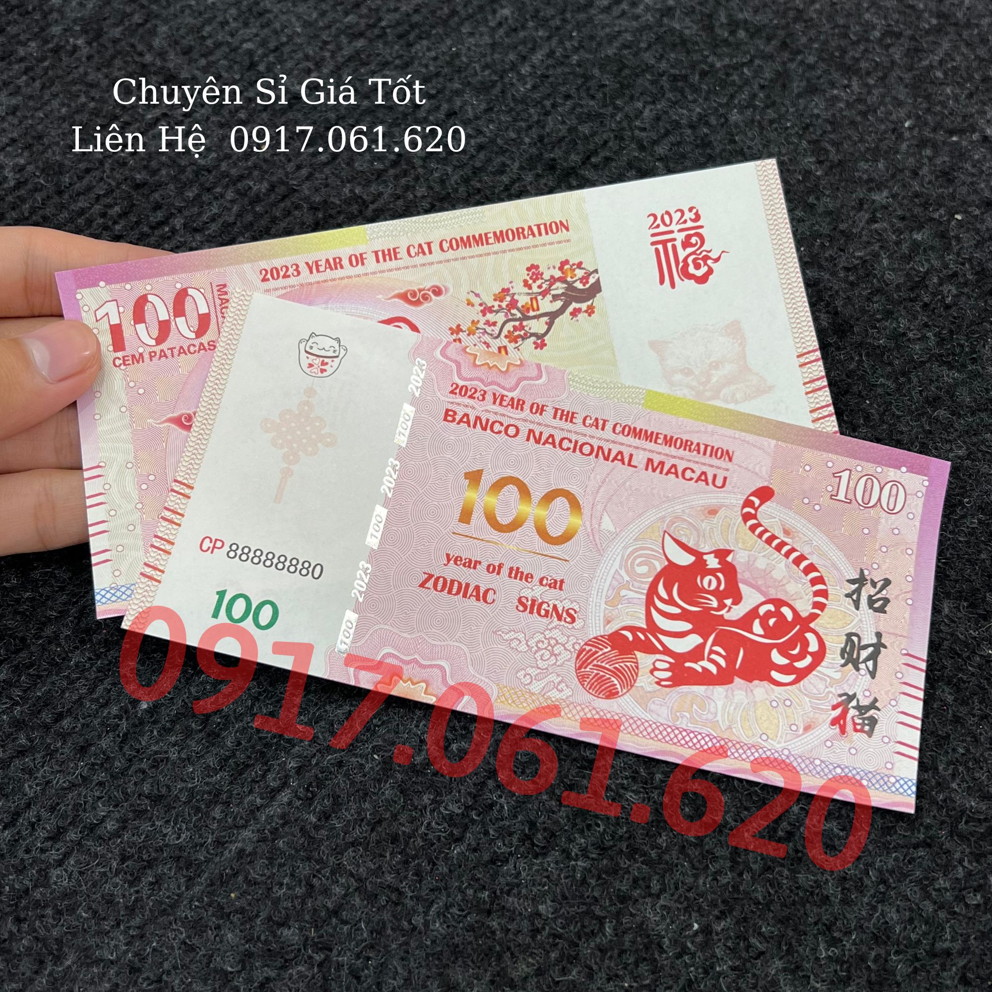 [Giá Rẻ] Tiền Con Mèo (Mão) Lưu Niệm Mệnh Giá 100 Do Macau Phát Hành Nhân Dịp Tết Quý Mão Sắp Tới Thích Hợp Lì Xì Tết 2023