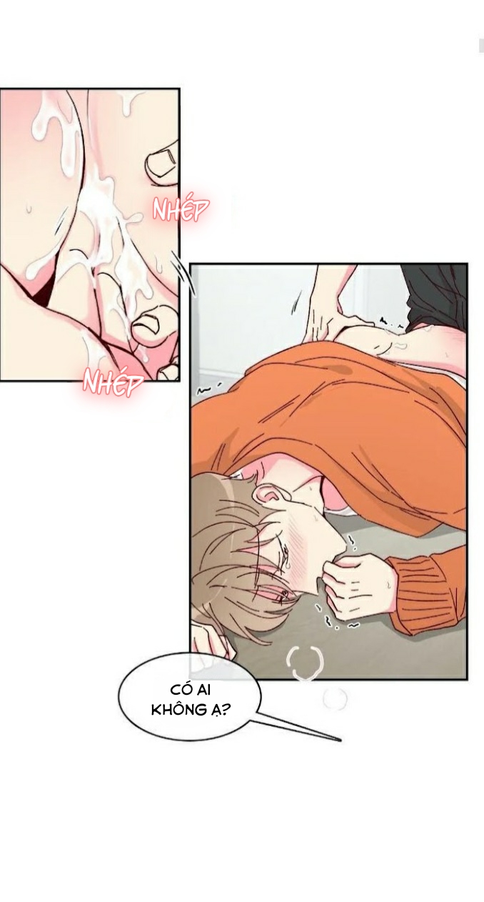 món tráng miệng của sếp tổng chapter 11 1