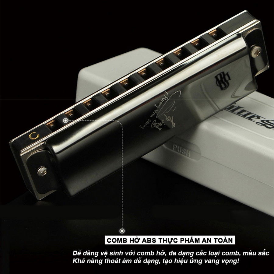 Kèn Harmonica Diatonic 10 Lỗ Swan Blues SW1020W key C (Đen)