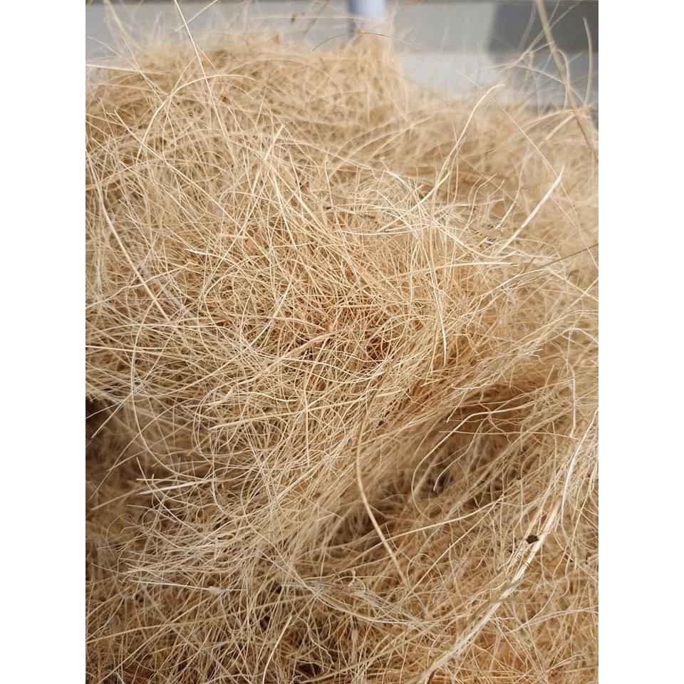 Xơ dừa chỉ trồng hoa lan 500gr