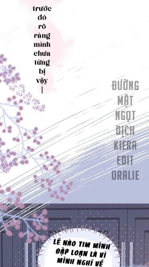 nỗi buồn của hoa cẩm tú cầu chapter 40 10