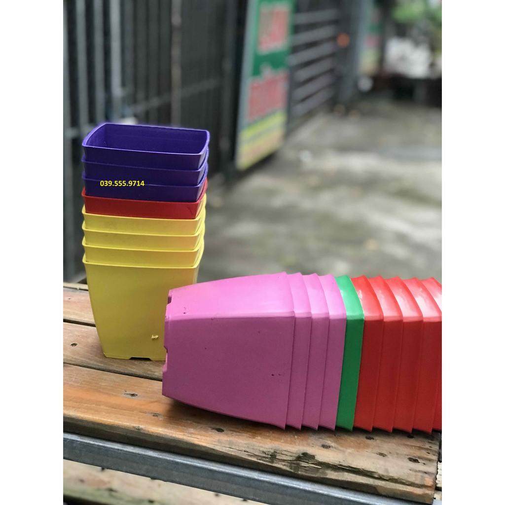 Bộ 5 Chậu Nhựa Nhiều Màu Trồng Cây V20