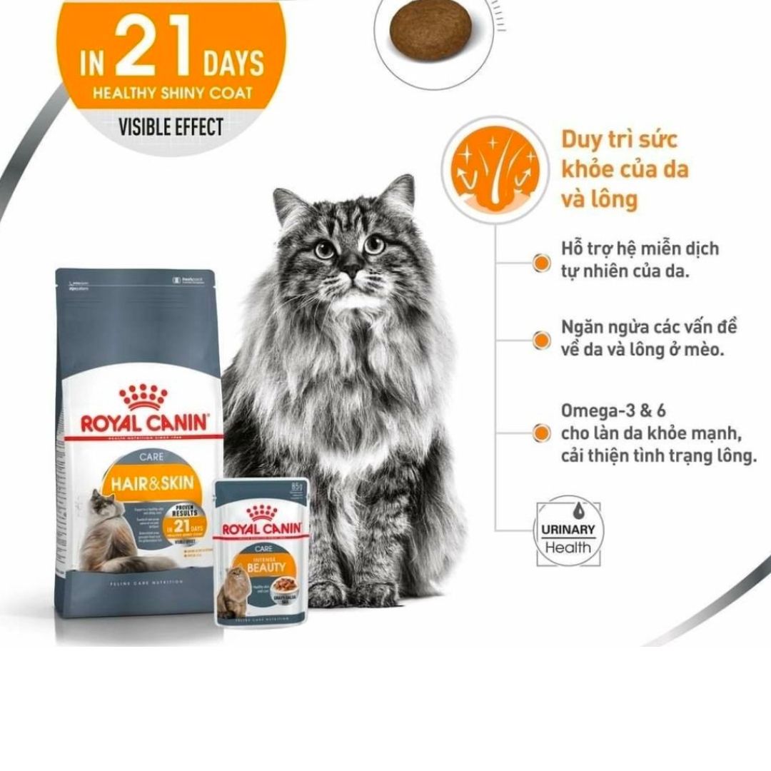 Thức Ăn Cho Mèo Royal Canin Hair &amp; Skin Care Chăm Sóc Da Lông