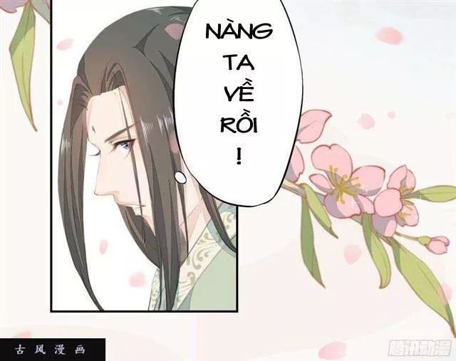 tuyệt thế luyện đan sư chapter 24 43